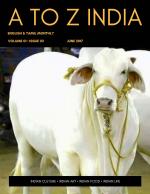 A TO Z INDIA