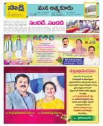 SPSR Nellore Constituencies