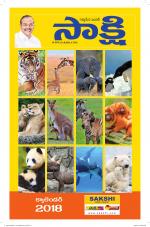 AP Special Calendar 2019