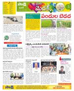 Medak Constituencies