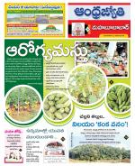 Mahabubabad District