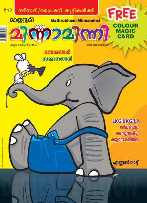 Minnaminni-2018 January 10