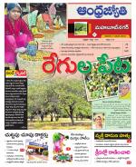 Mahabubnagar District