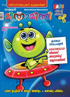 Minnaminni-2018 January 17