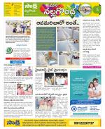 Nalgonda Constituencies