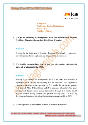 Molecular Basis of Inheritance