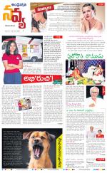 Navya Daily