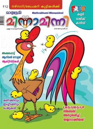 Minnaminni-2018 January 24