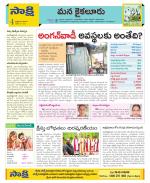 Krishna Constituencies