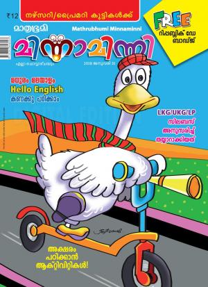 Minnaminni-2018 January 31