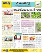 Vijayawada City Constituencies