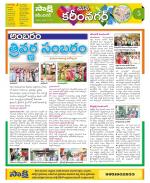 Karimnagar Constituencies