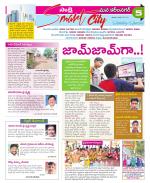 Karimnagar Constituencies