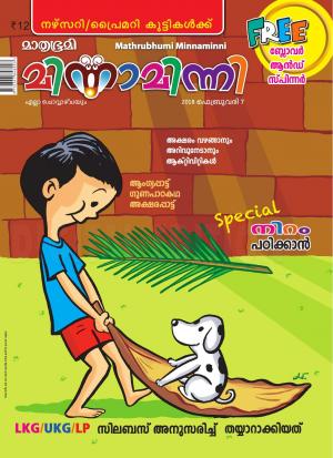 Minnaminni - 2018 February 7