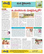 Krishna Constituencies