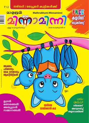 Minnaminni - 2018 February 14