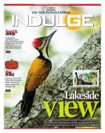 Indulge - Coimbatore