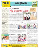 Krishna Constituencies