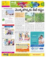 Hanamakonda Constituencies