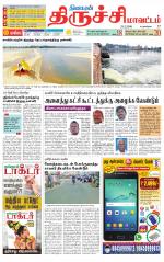 Trichy Supplement
