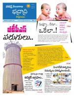 Bhadradri Kothagudem