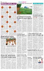 Coimbatore Supplement