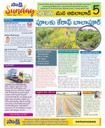 Adilabad Constituencies