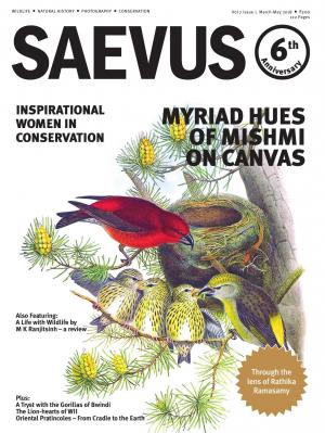 SAEVUS MARCH-MAY 2018