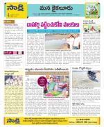 Krishna Constituencies