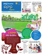 Bhadradri Kothagudem