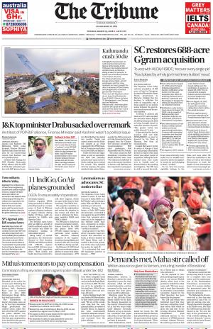 The Tribune