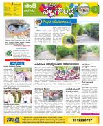 Nalgonda Constituencies