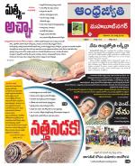 Mahabubnagar District