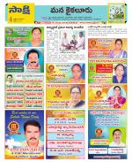 Krishna Constituencies