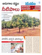 Warangal/Janagam/jayasankar/Mahaboobabad