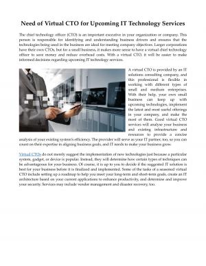 Need of Virtual CTO for Upcoming IT Technology Services