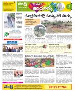 Nizamabad Constituencies