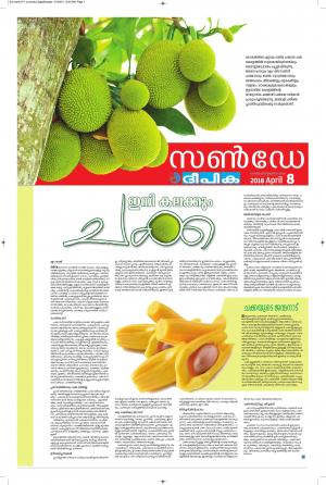 Sunday Deepika 08 April 2018