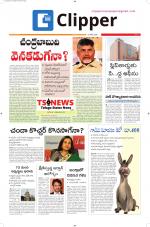 Clipper News