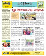 Krishna Constituencies