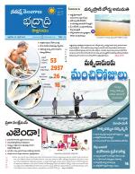 Bhadradri Kothagudem