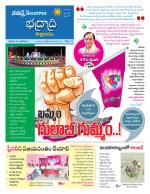 Bhadradri Kothagudem