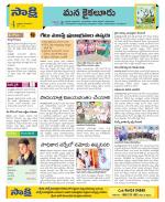 Krishna Constituencies