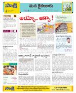 Krishna Constituencies