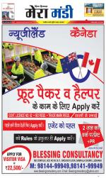 Divya Himachal Dharamsala+Mera Mandi +Aastha