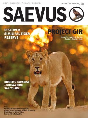 SAEVUS JUNE-AUGUST 2018