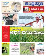 Kumuram Bheem District