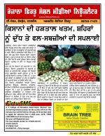 Firtu News