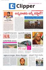 Clipper News