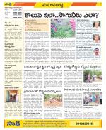 Vijayawada City Constituencies